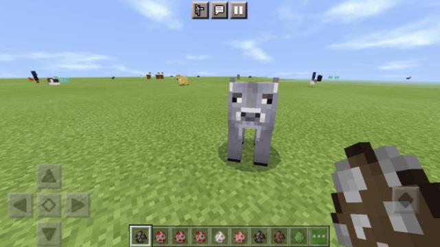 Шерстистая корова