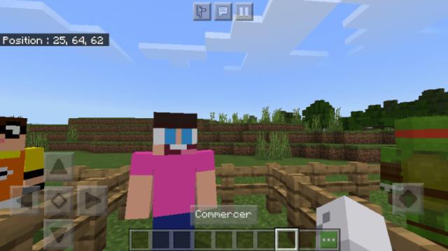 Тимми Тернер