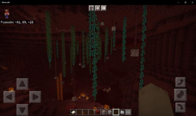 Лоза свисает с потолка