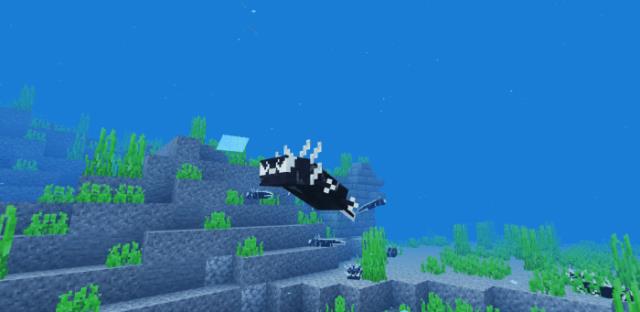 Аксолотль-веном