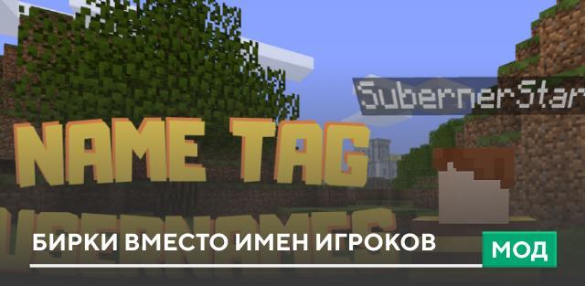 Мод: Бирки вместо имен игроков