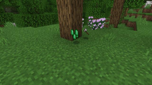 Дроп с поборника