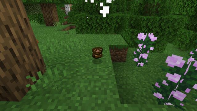 Дроп с гриба