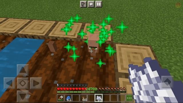 Выращивание носа сельчанина