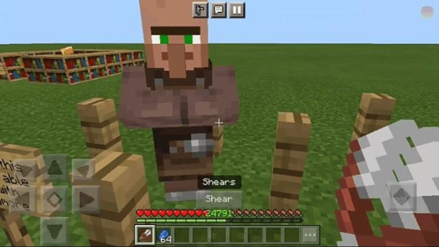 Применение ножниц на сельчанина