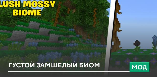 Мод: Густой замшелый биом