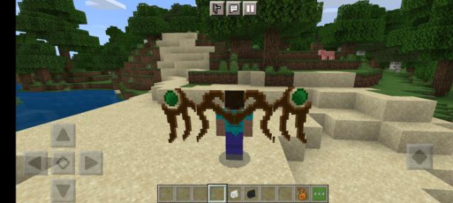 Крылья мудреца сзади