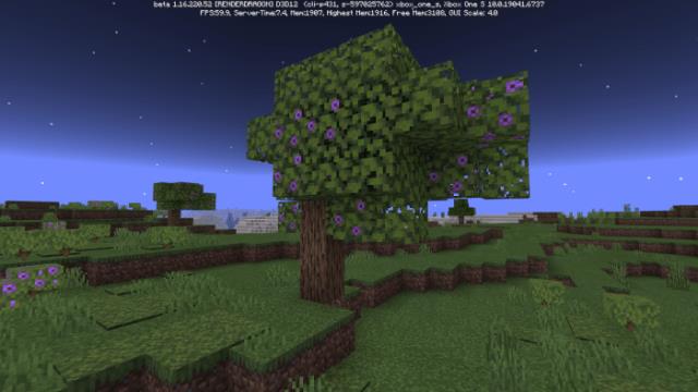 Одинокое дерево с фиолетовыми цветами