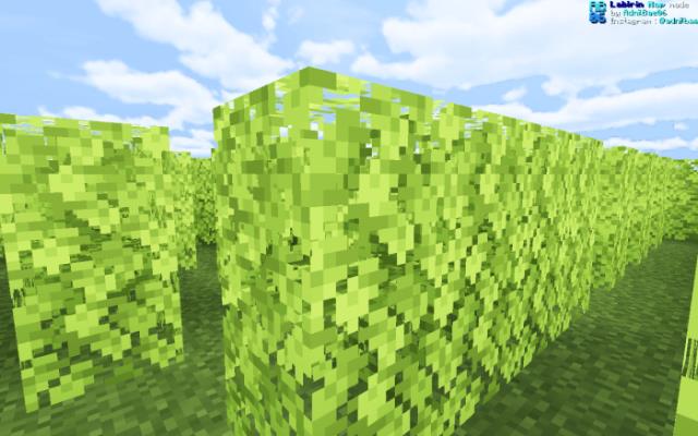 Интерьер лабиринта из листьев