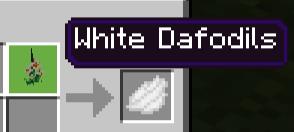 Получение красителя из цветов