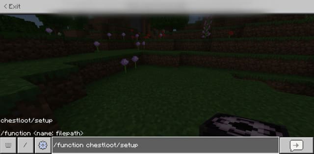 Ввод команд для работы функции