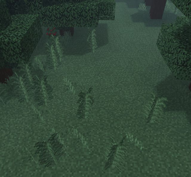 Растения на земле