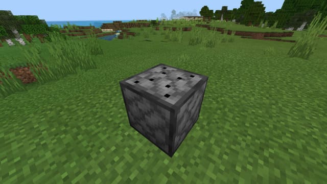 Вид блока с ловушкой