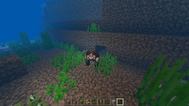 Игрок крадется на дне океана