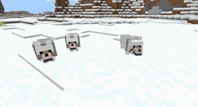 Белые волки