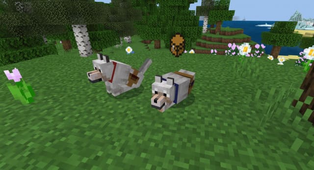 Инвентарь для волков