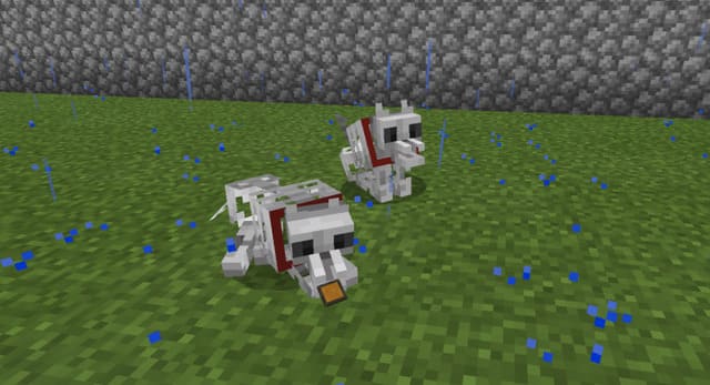 Волки-скелеты