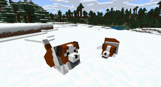 Виды спасательных собак