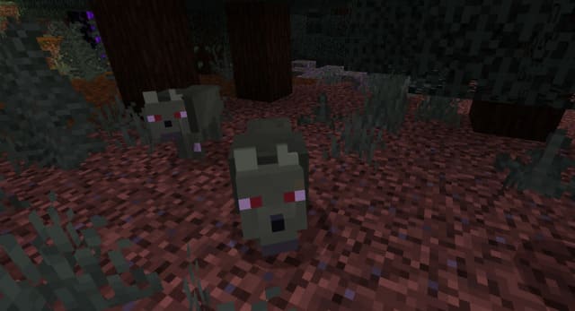 Зомби-волки