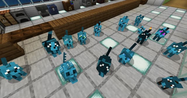 Разноцветные волки в закрытом помещении