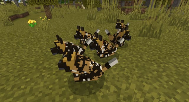 Дикие волки