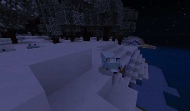 Снежный лис