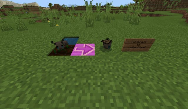 Дроп с муравьев