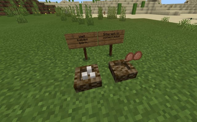 Яйца птичек