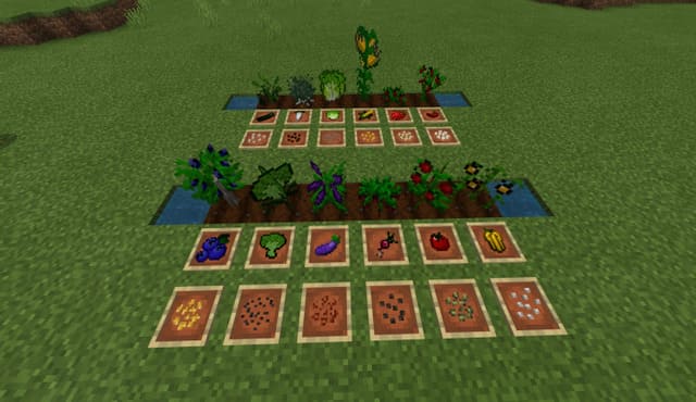 Выращивание растений