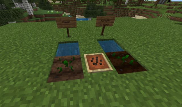 Обработанная земля