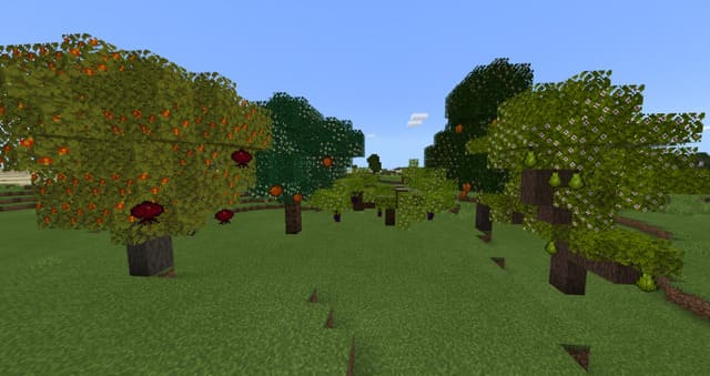 Деревья с фруктами