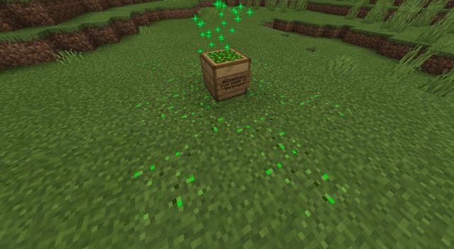 Коробки с семенами