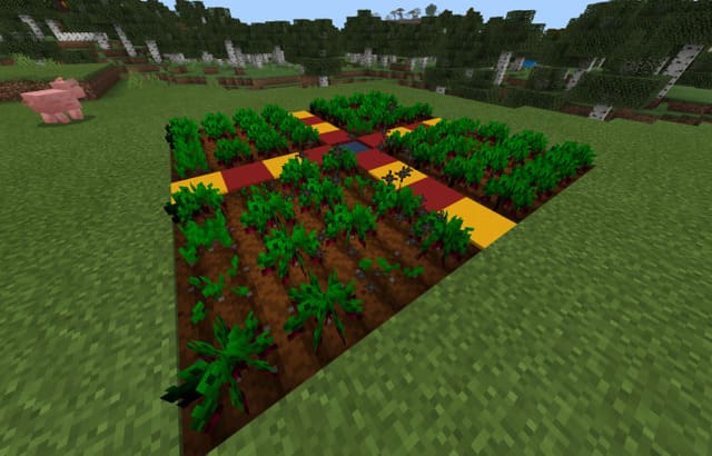 Небольшой огород