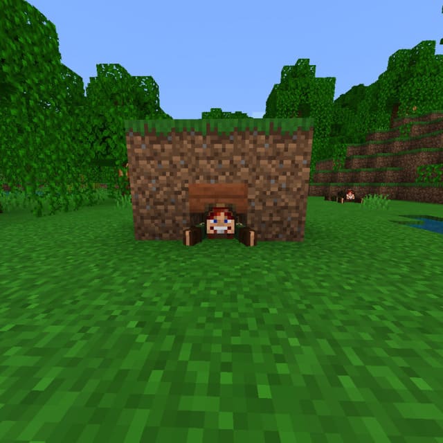 Игрок проходит под половиной блока