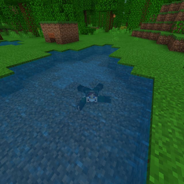 Персонаж плавает к озере