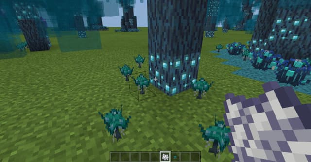 Костная мука из голубых грибов