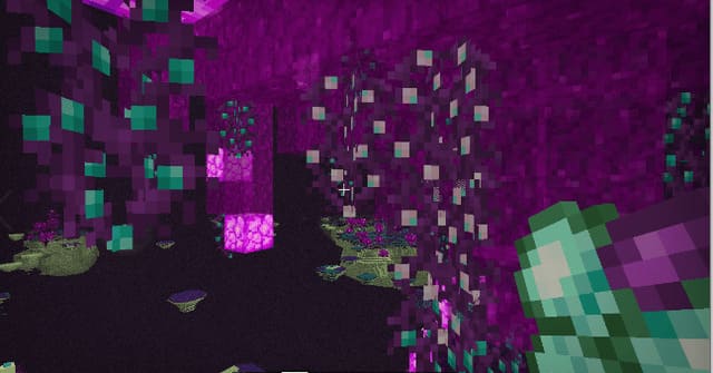 Новый тип лозы