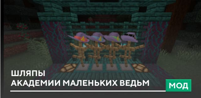 Мод: Шляпы академии маленьких ведьм