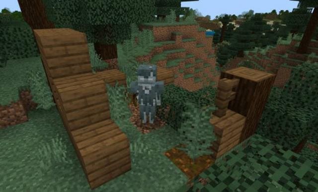 Сооружения соснового леса