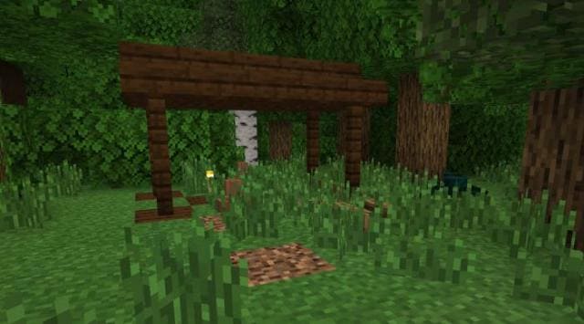 Структуры крытого леса