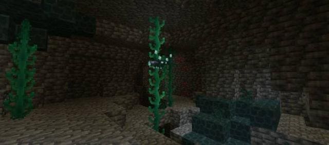 Лоза в пещере