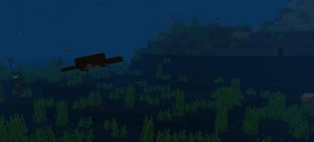 Утконосы в воде