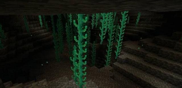 Длинная лоза