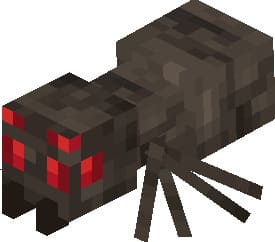 Паук-детеныш