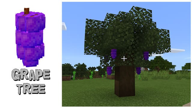 Виноградное дерево