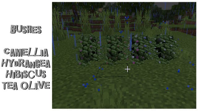 Кустарники