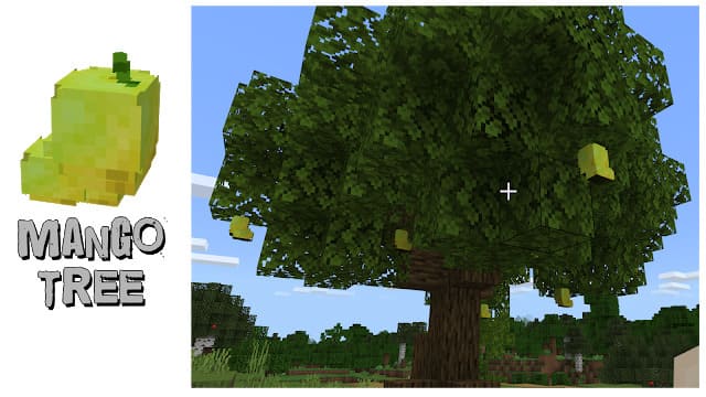 Манговое дерево
