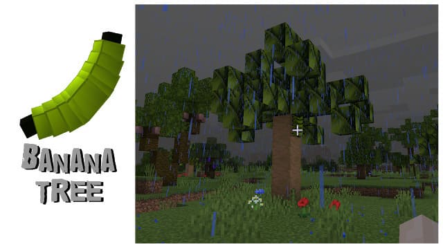 Банановое дерево