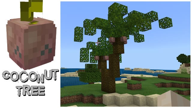 Кокосовое дерево