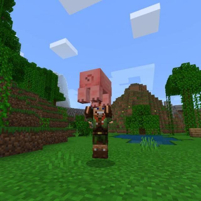 Игрок поднимает свинку